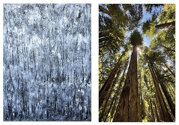 Maria C. Friscia's In the Woods and Redwood